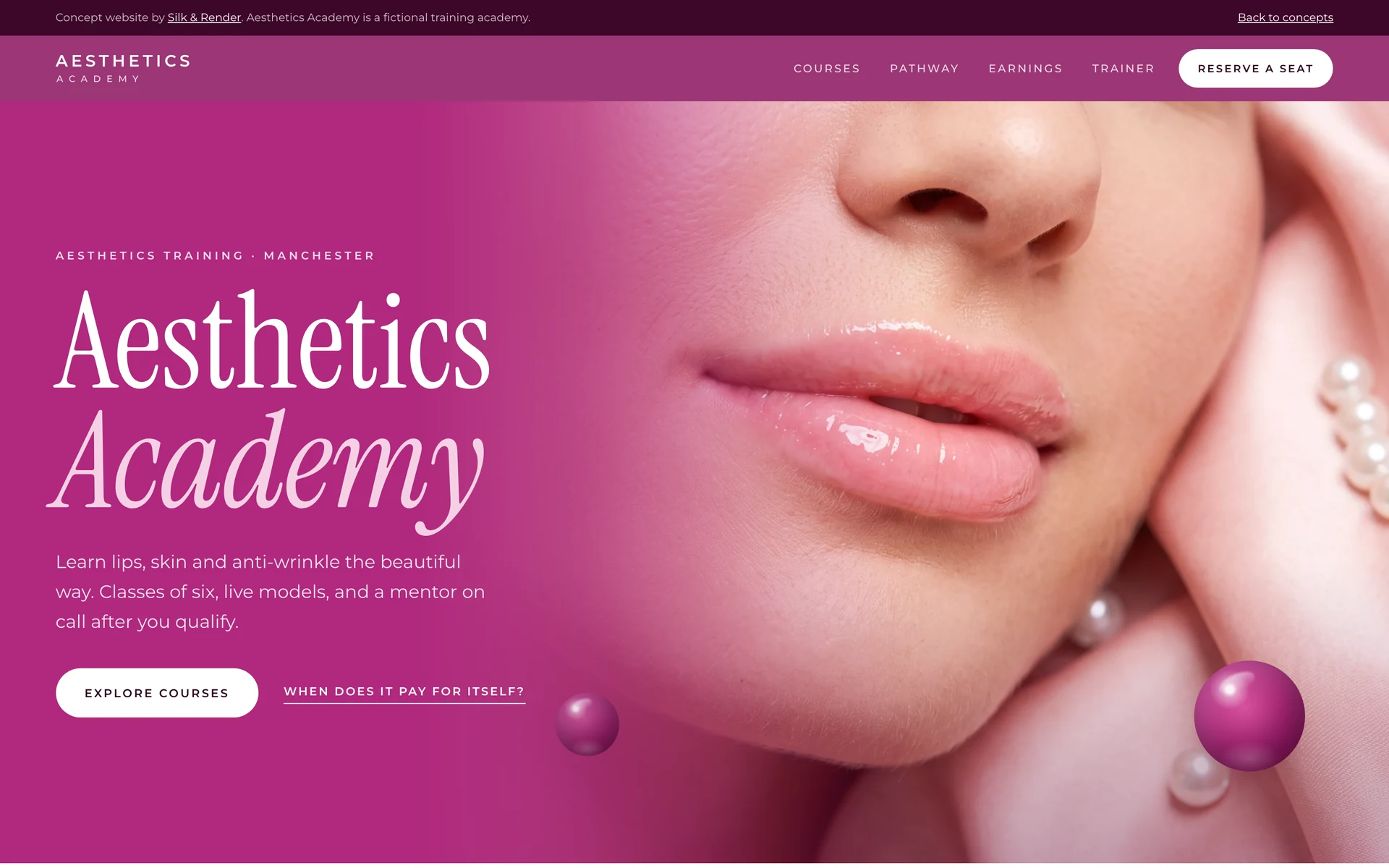 Aesthetics Academy homepage: magenta hero with glossy lips and the words Aesthetics Academy