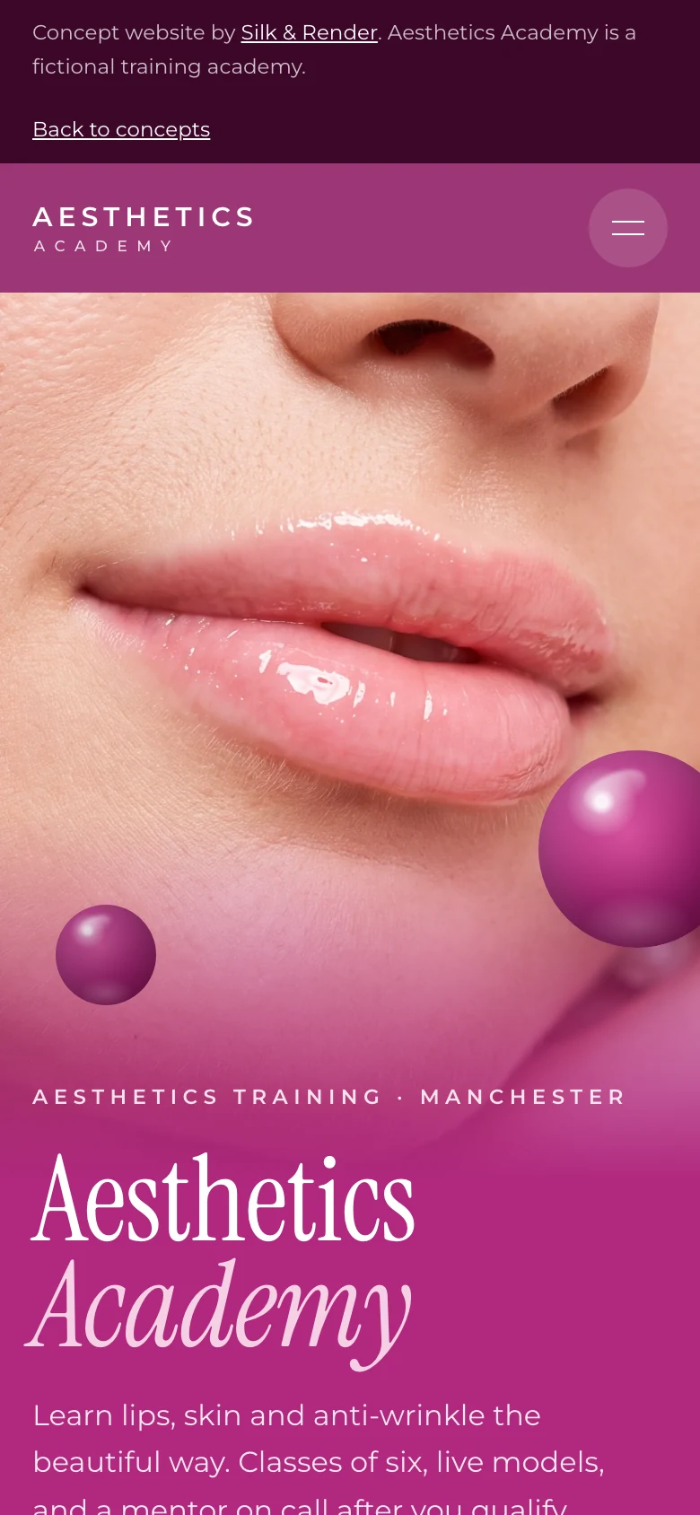 Aesthetics Academy homepage on a phone